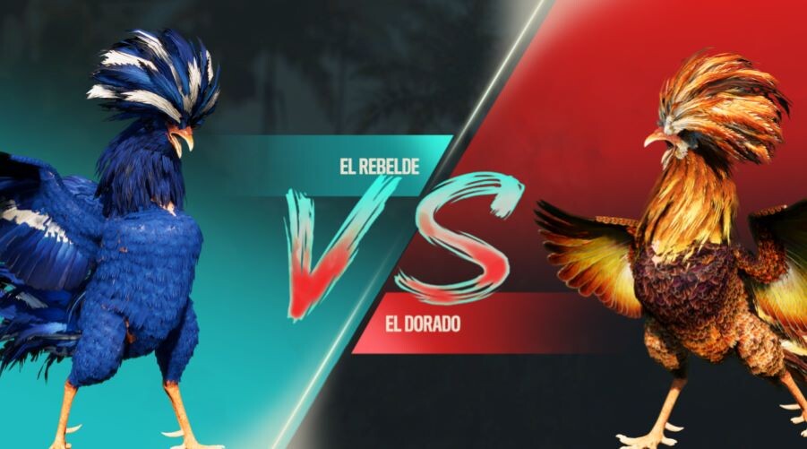 Hướng dẫn chơi đá gà SV388 chi tiết nhất 5 Hướng dẫn chơi đá gà SV388 chi tiết nhất