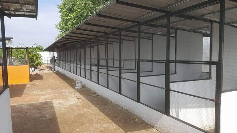 Hướng dẫn xây dựng mô hình nuôi gà chọi mang lại hiệu quả 6 Các bước xây dựng mô hình nuôi gà chọi đúng chuẩn