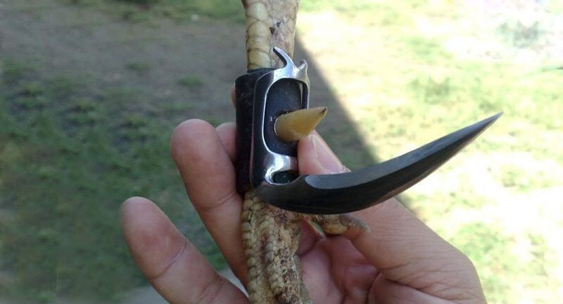 Cách lên cựa gà tre chuẩn xác nhất từ chuyên gia 7 Các loại cựa gà tre đá hiện nay