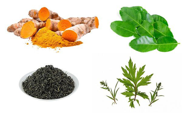 Tìm hiểu cách om gà chọi hiệu quả nhất hiện nay 9 Các nguyên liệu cơ bản trong các bài thuốc om bóp gà chọi